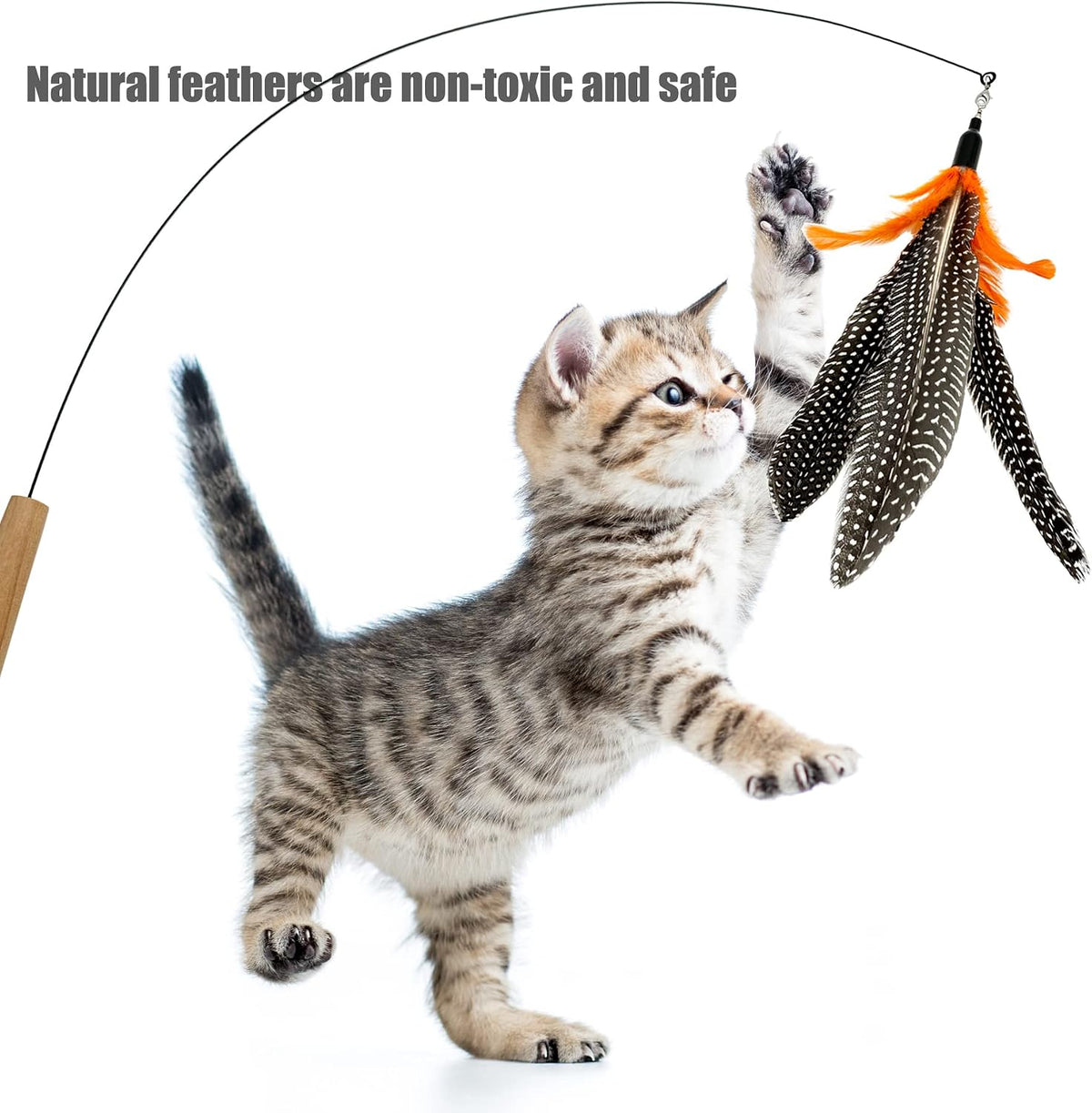 Cat Feather Toys Refill, 16 Pieces Cat Wand Replacement Feathers Toy for Indoor Cats – Essentials for Cats - 6 PCS Cat Toy Feather Refills - image 2