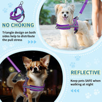 SlowTon No Pull Small Dog Harness and Leash Set with Front Clip – Essentials for Dogs - Medium / Purple - image 3