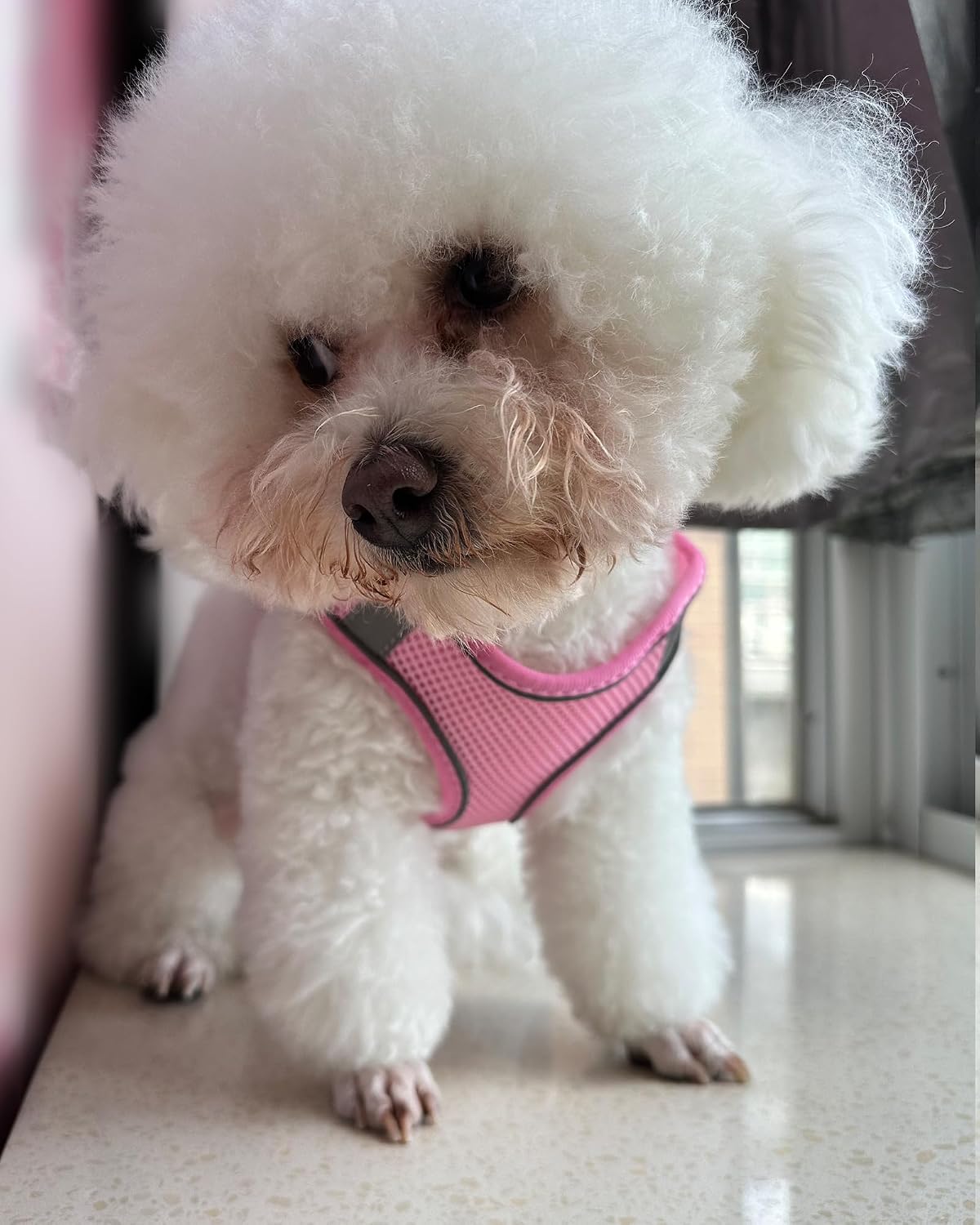 Solmoony Dog Harness, No Pull, Mesh for Small Medium Dogs - Pink / S - image 2