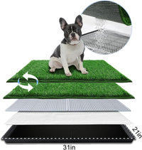 HQ4US Dog Grass Pad with Tray Odor Control Grass Pee Pad for Dog - M - 31" x 21" for Dog＜ 26'' Length