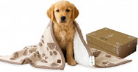 Small Pet Blanket, 100% Organic Cotton - Earth Ivory / Mocha Meringue