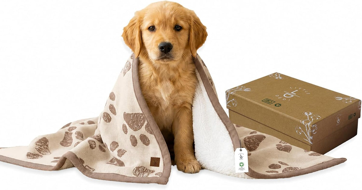 Small Pet Blanket, 100% Organic Cotton - Earth Ivory / Mocha Meringue