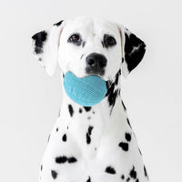 Playology Durable Plush Bone Toy, Squeaky Bone, Jumbo - Jumbo Ball / Peanut Butter - image 2