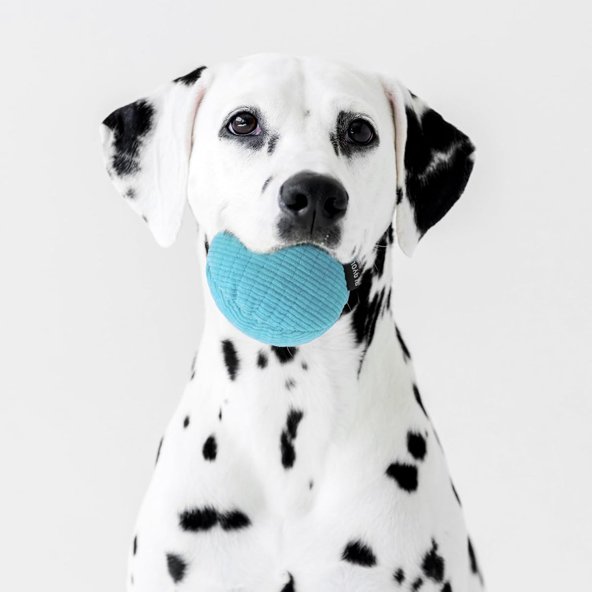Playology Durable Plush Bone Toy, Squeaky Bone, Jumbo - Jumbo Ball / Peanut Butter - image 2