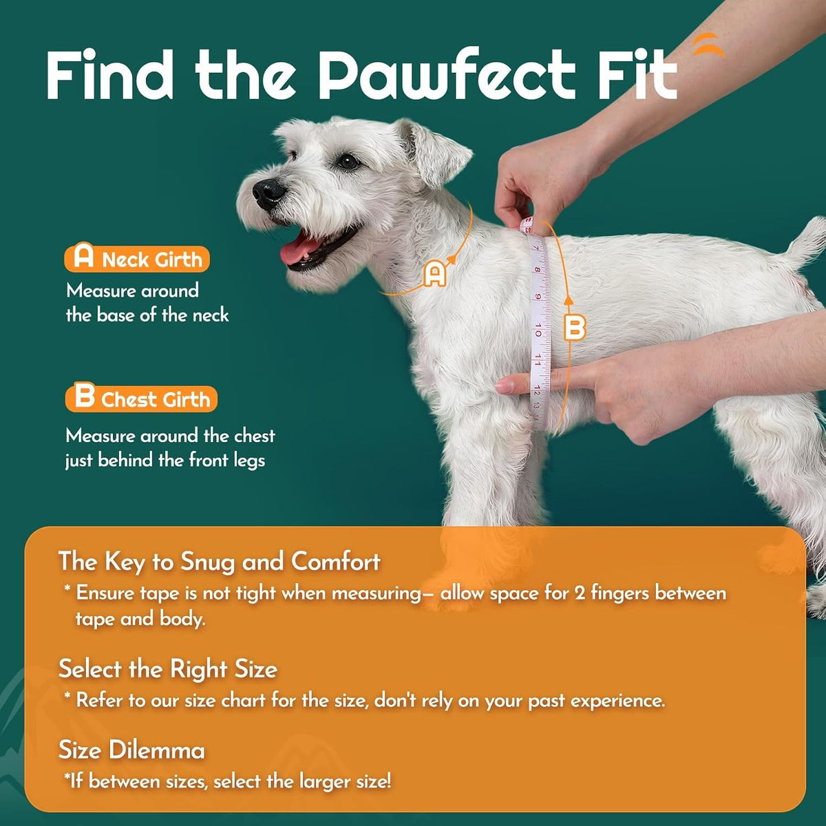 Eagloo Small Dog Harness and Leash Set - S(Chest:15.1"-16.5") / Forest Green - image 2