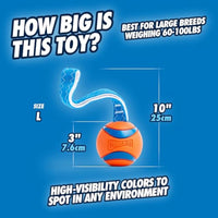 Chuckit! Ultra Tug Dog Toy - Large / Ultra Tug - image 4