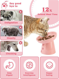 Y YHY Slow Feeder Cat Bowl, Ceramic Cat Slow Feeder Bowl - Pink - image 2