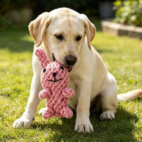 Dog Toys Puppy Teething Chew Toys 3 PCS - pink rabbit - image 4