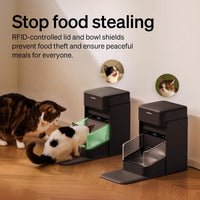 PETLIBRO RFID Automatic Cat Feeder - Black / 3L*2 Packs - image 4