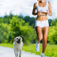Mile High Life Hands Free Dog Leash - White / 8FT Hands Free - image 2