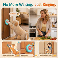 Dog Training Bells for Door - 1 Blue-orange Button - image 3