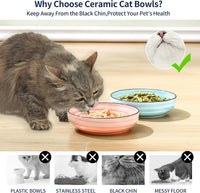 Selamica Ceramic Cat Bowls Set of 6 - 5.6 Inch, Set of 4 / Gradient Color - image 4