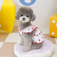 Dog Dresses for Small Dogs Girl Female Dog Cat Clothes Dress Cute - White / Small (suggest 4.5-6.5 lbs) - image 3