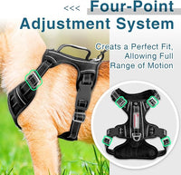 BARKBAY Dog Harness No Pull with ID Tag Pocket - Heavy Duty, Reflective, Easy Control for Large Dogs(Black,S)