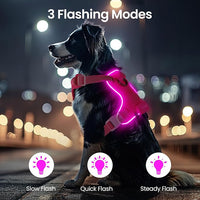 Light Up Dog Harness,Reflective Pet Harness Rechargeable,Led Dog Vest Harness for Night Walking,Adjustable Dog Safety Vest for Small Medium Large Dogs-No Pull,Pink,XL