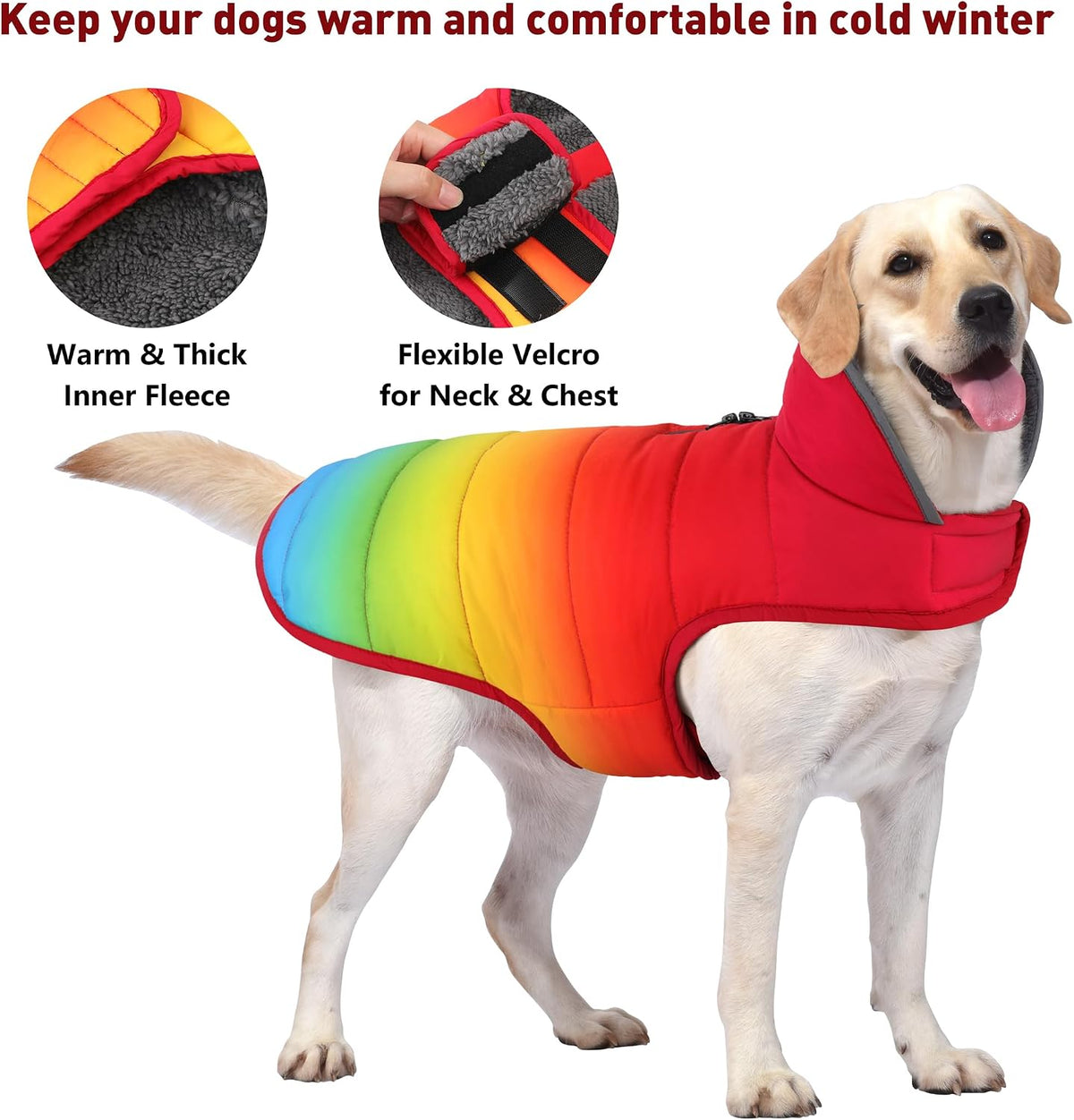 Waterproof Dog Winter Coat - Rainbow / 2XL(Chest Girth:27.6-34.7") - image 3