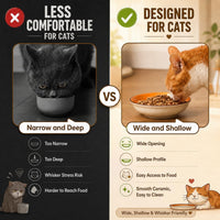 Colorful Ceramic Cat Bowls Set - image 4