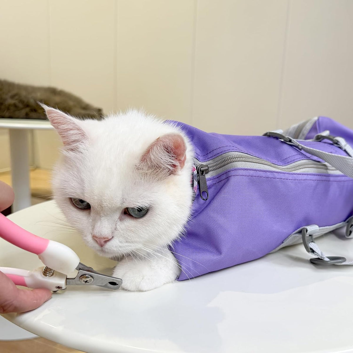 Cinf Cat Restraint Grooming Bag - M (8-12lbs) / Taro - image 2
