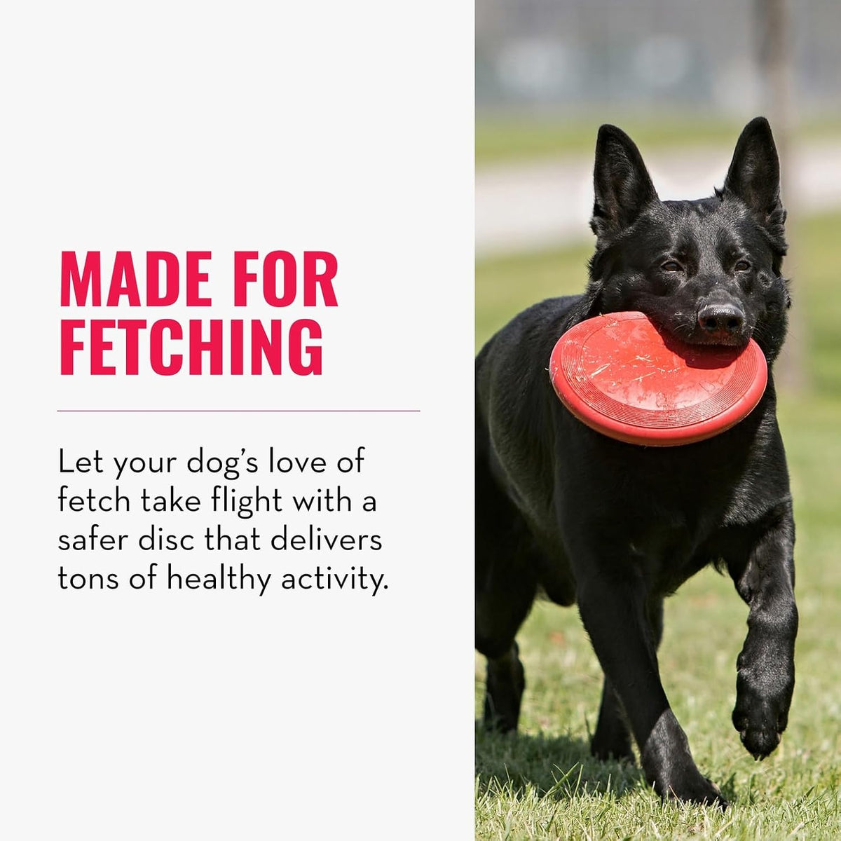 KONG Flyer, Natural Rubber Flying Disc Fetch Toy - Small (Pack of 1) - image 2