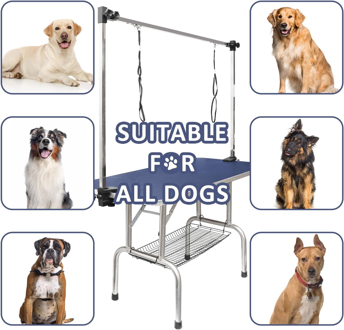 ROOMTEC 46" Dog Grooming Table - Blue / 46in - image 3