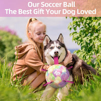 QDAN Dog Soccer Ball Toy with Strap - Rainbow / Extra Large Size 4 - image 2