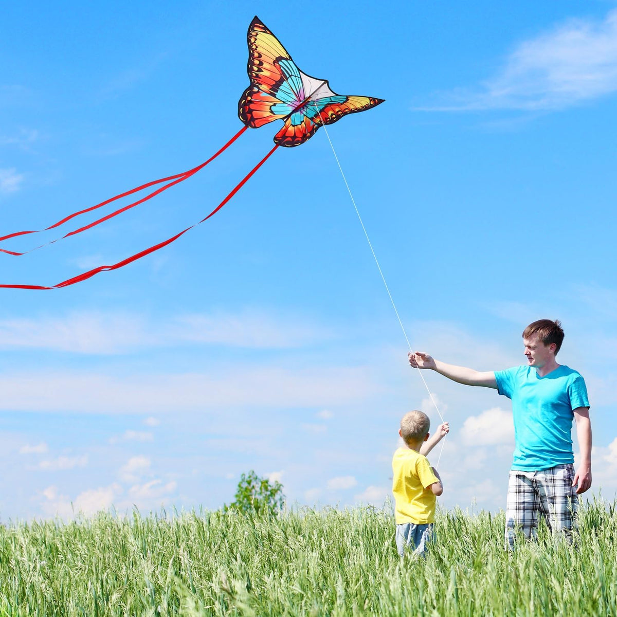 Xida Butterfly Kites for Kids and Adults Easy to Fly - Rainbow Butterfly - image 4