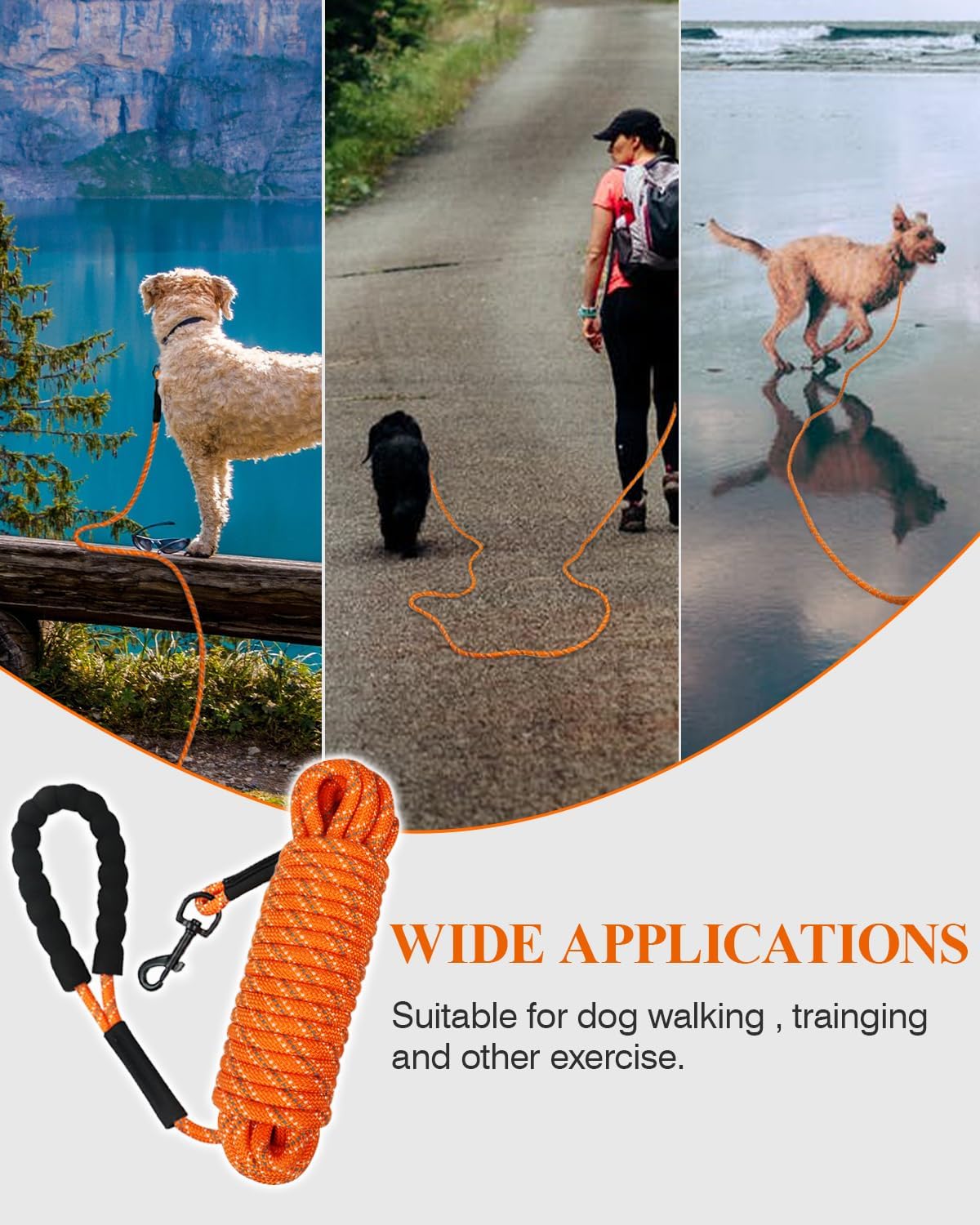 Taglory Long Dog Leash, 15FT 30FT 50FT 66FT, Training and Recall Leash with Comfortable Padded - 50 Foot - with handle / Orange - image 3