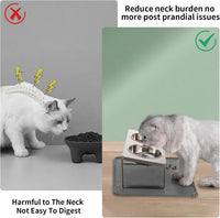 Upgraded Elevated Cat Bowls with Food Mat - Gray-2Bowls - image 2