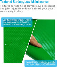 Bearded Dragon Tank Accessories - Green - image 4