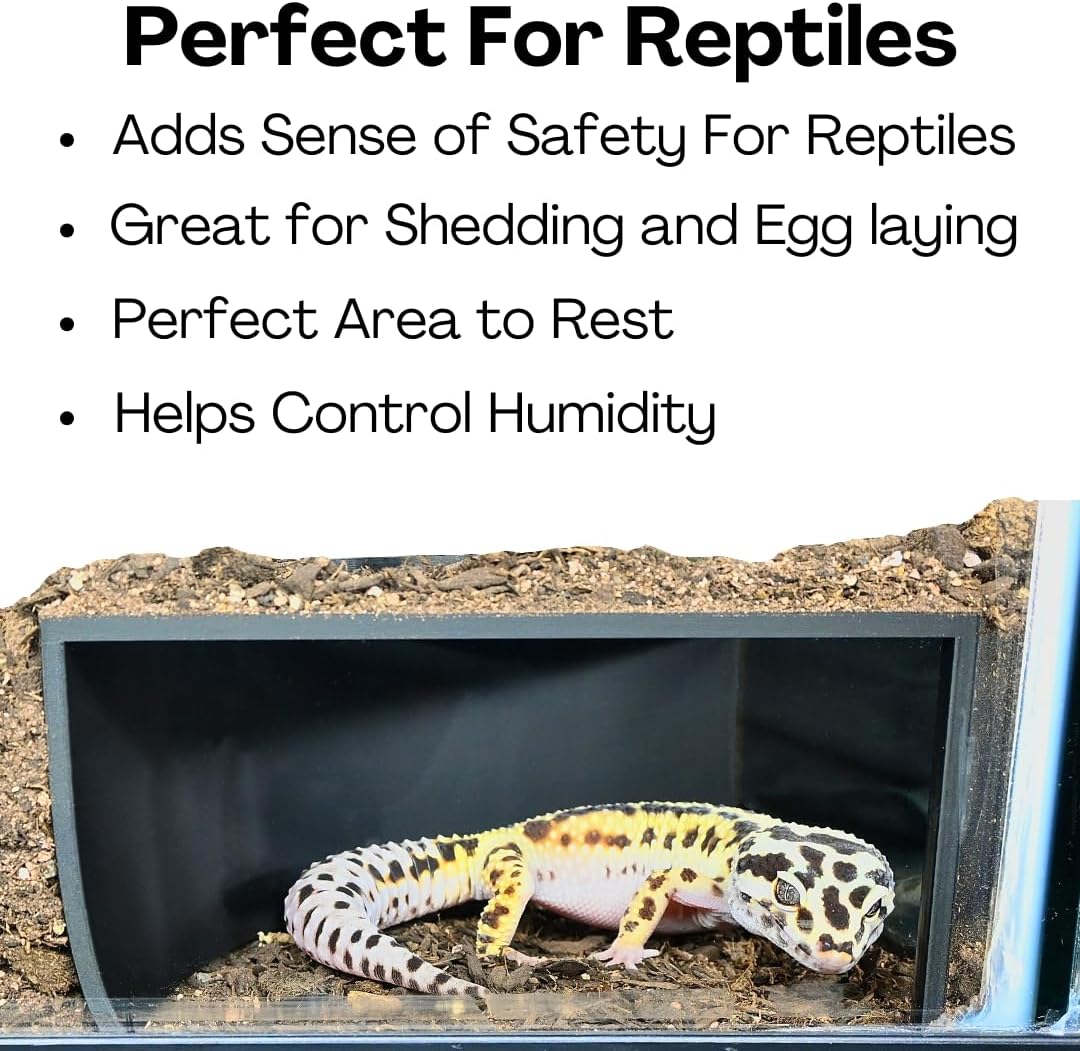 Reptile Corner Underground Cave Viewing Hide, Hognose Snake - Black - image 4