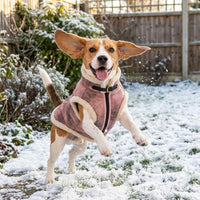 Retro Aviator Dog Jacket – Faux Leather Winter Coat with Plush Sherpa Fleece Lining for Bulldog - Pink / X-Large - image 2