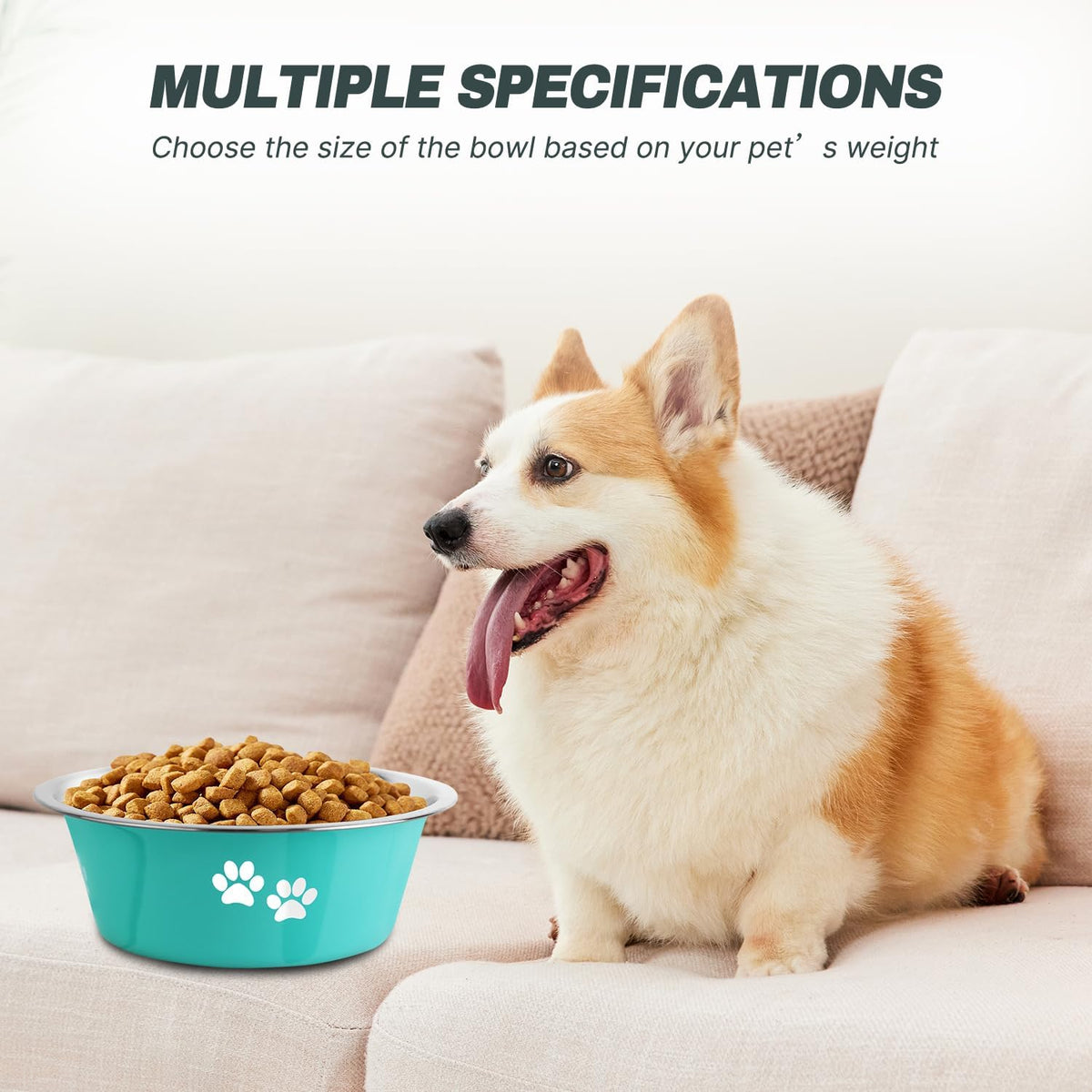 Stainless Steel Dog Bowls - Green / 6.6 Cups/53 OZ - image 3
