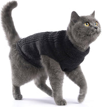 Cat Sweater Stretchy, 19 Colors, 6 Sizes - Dark Gray / Medium / Vest - image 3