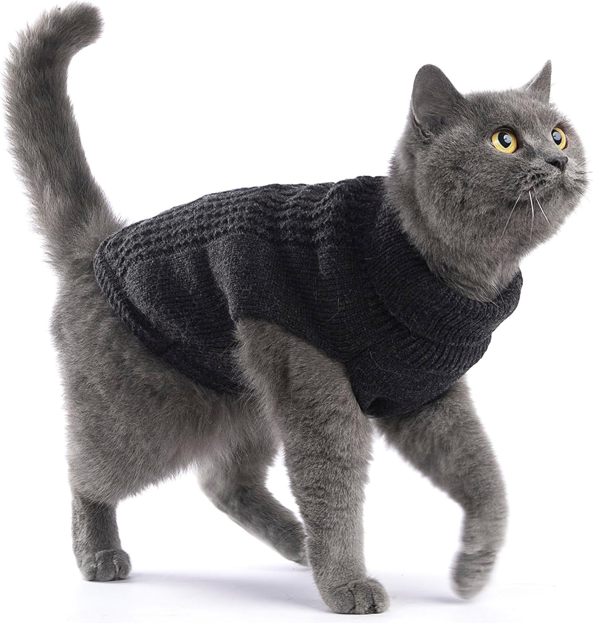 Cat Sweater Stretchy, 19 Colors, 6 Sizes - Dark Gray / Medium / Vest - image 3