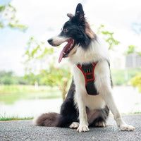 PHOEPET 2019 Upgraded No Pull Dog Harness, Reflective Adjustable Vest, with a Training Handle + 2 Metal Leash Hooks+ 3 Snap Buckles +4 Slide Buckles(XL, Black)