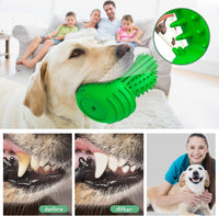 Cactus Dog Chew Toy for Aggressive Chewers - For Large Dog / Green - image 3
