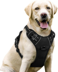 rabbitgoo Dog Harness, No Pull for Large Dogs with 2 Leash Clips - Large / Black
