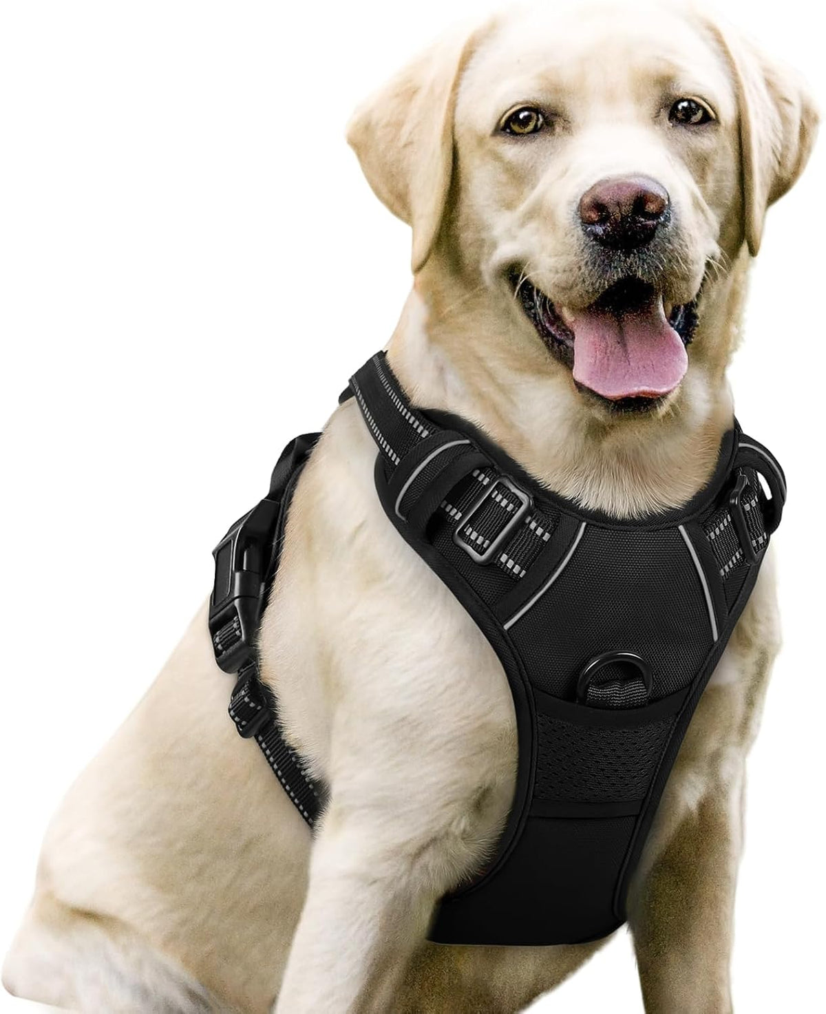 rabbitgoo Dog Harness, No Pull for Large Dogs with 2 Leash Clips - Large / Black