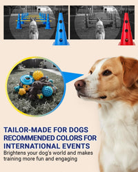 Dog Agility Course Backyard Set - 18 IN / Blue - image 4