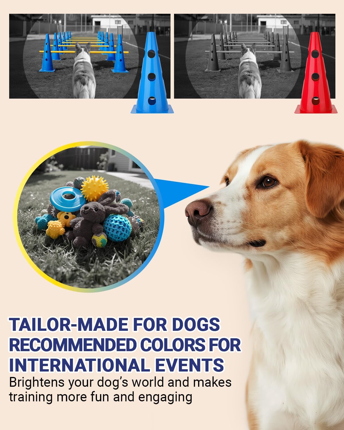 Dog Agility Course Backyard Set - 18 IN / Blue - image 4