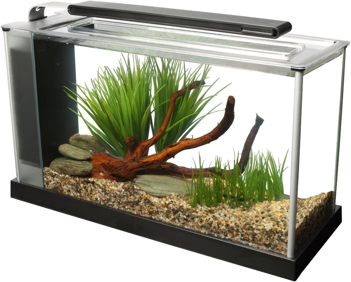 Fluval SPEC Aquarium Kit – Essentials for Fish - 5 Gal. / Black