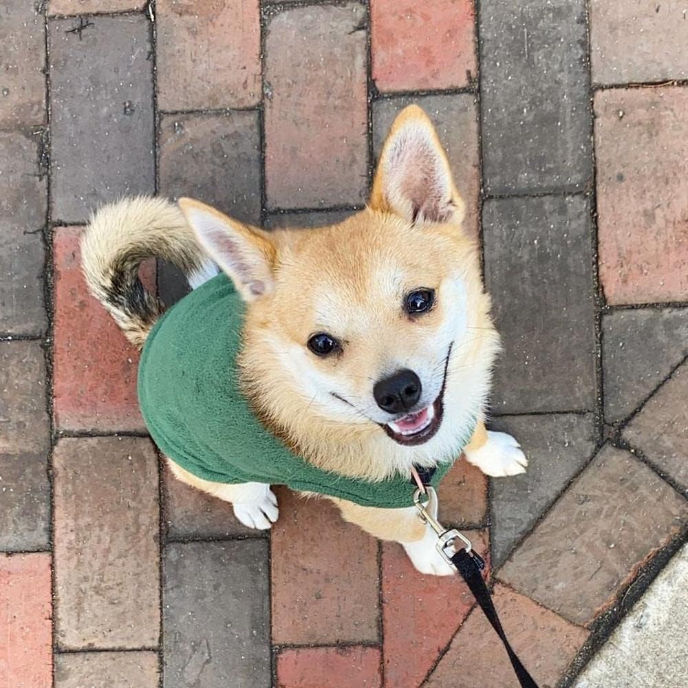 Gooby Stretch Fleece Vest Dog Sweater - Small Length (9") / Forest Green - image 2