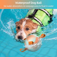 QDAN Dog Soccer Ball Toy with Strap - Orange / Small Size 1 - image 4