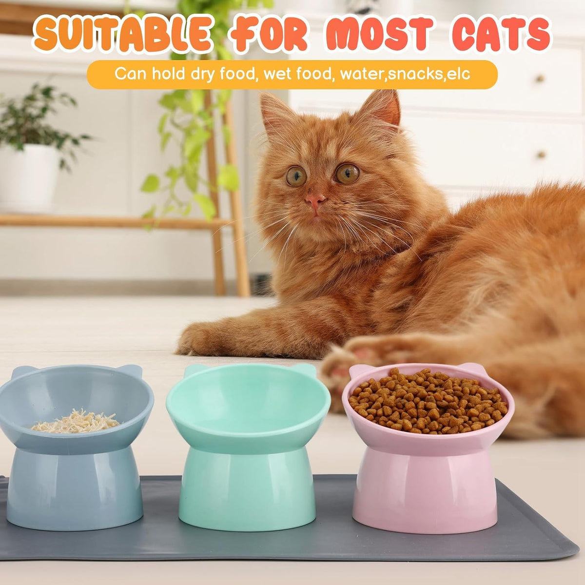 3 Pcs Raised Cat Bowl 15° Elevated Cat Food Bowl Tilted Cats Bowls - Pink, Blue, Green - image 4