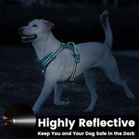 No Pull Dog Harness, Reflective Puppy Vest for Small Medium Large Sized Dog(MARRS Green,S)