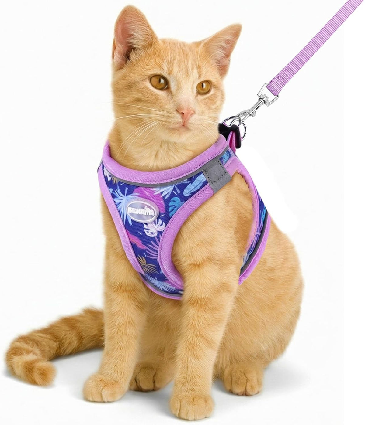Cat Harness and Leash Set, Escape Proof Soft Vest Walk Pink XS – Essentials for Cats - Purple / Small