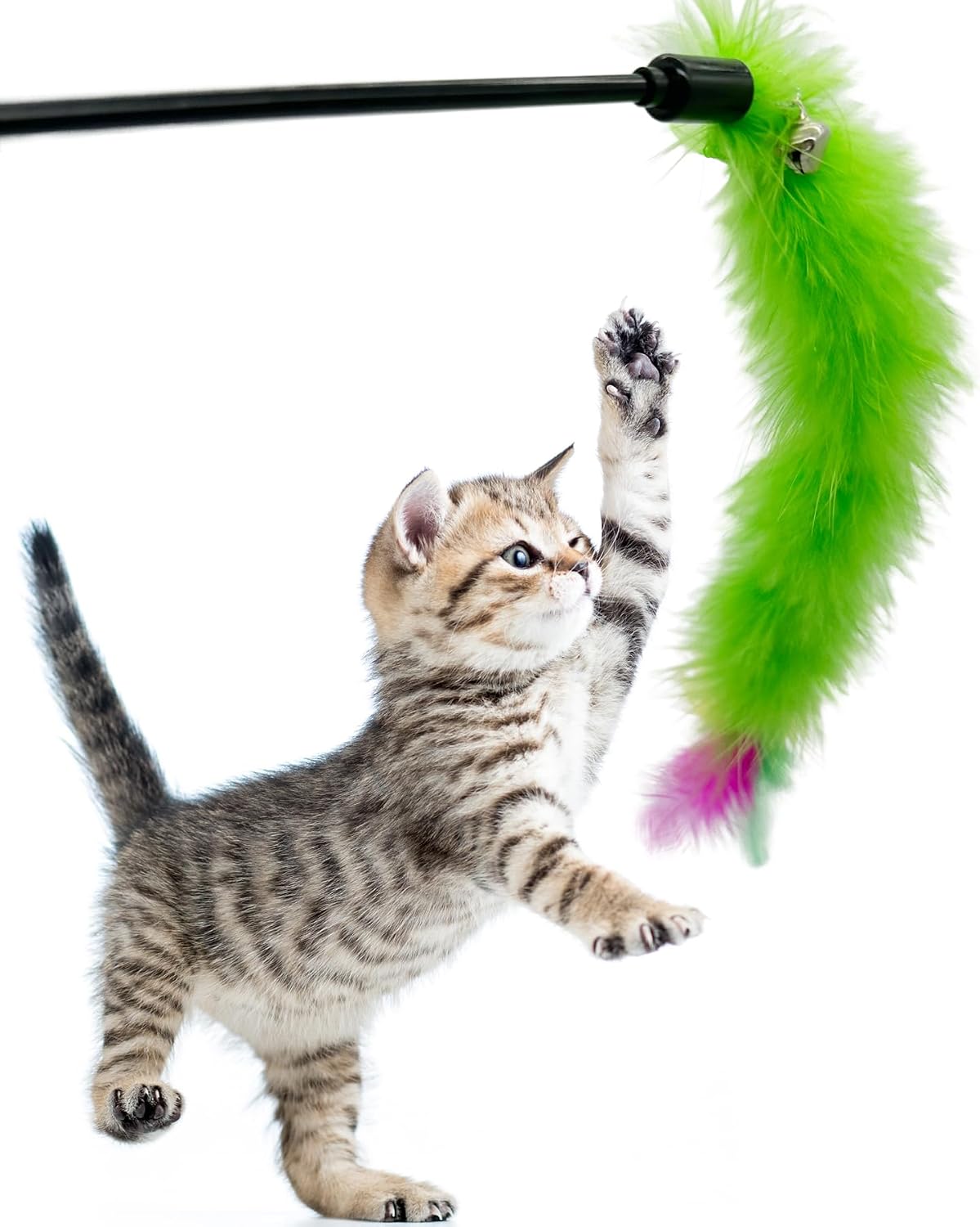 Cat Wand Feather Toys, 6 Pieces Interactive Cat Feathers Teaser Toy for Indoor Cats Play – Essentials for Cats - 6PCS Cat Wand Toys - image 2