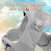 Dog Harness Step in Dog Vest Harness, Reflective Adjustable Puppy No Pull Harness Breathable Soft for Small and Medium Dogs Cats, Grey, XS