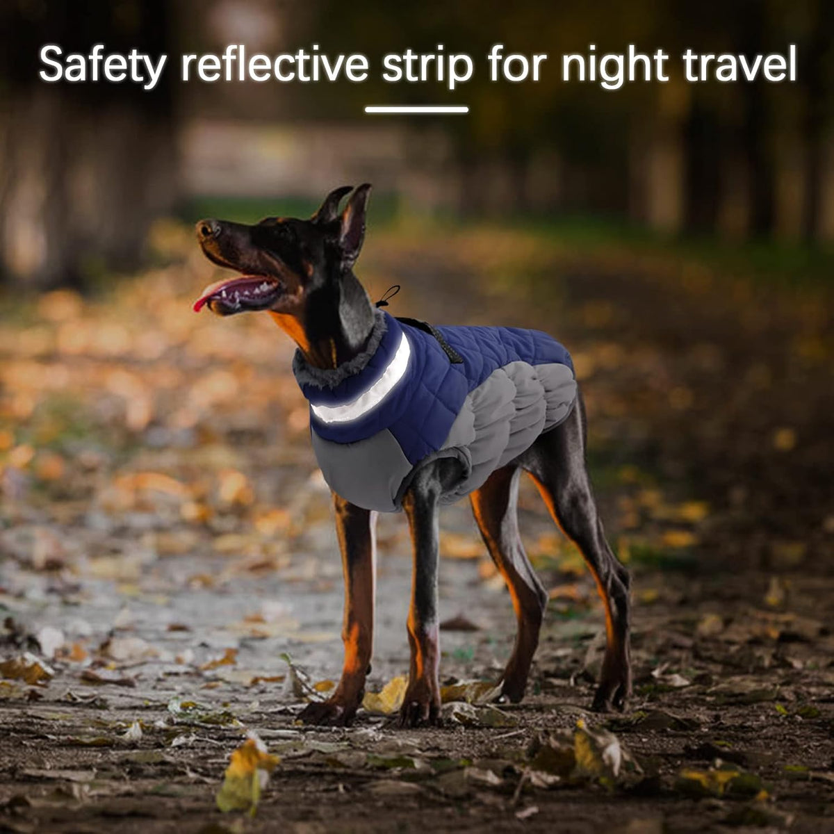 Dog Winter Jacket Cozy Reflective Waterproof Windproof Warm Pet - Large / Blue - image 3