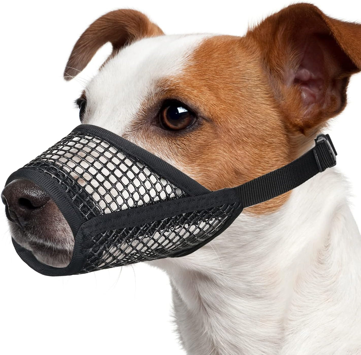 Dog Muzzle, Soft Mesh Muzzles for Small Dogs Biting, XXS - Black / M-Snout (7¼”-8”)